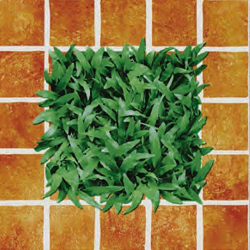 Ảnh GẠCH ĐỒNG TÂM 4040CLG002 1