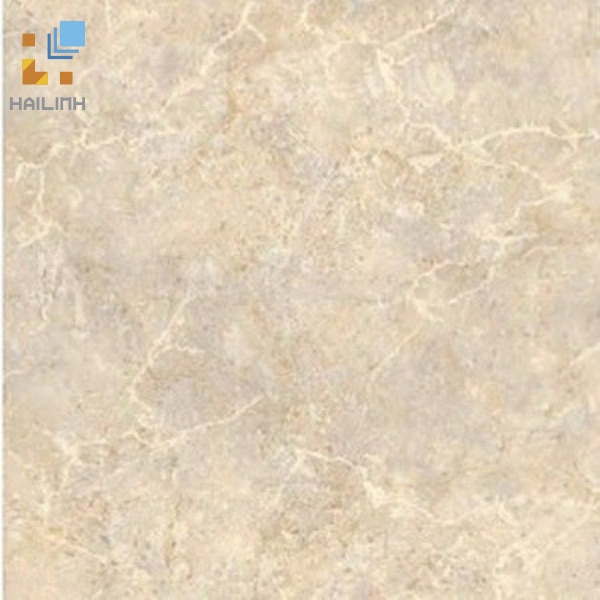 Ảnh Gạch Đồng Tâm 462 1