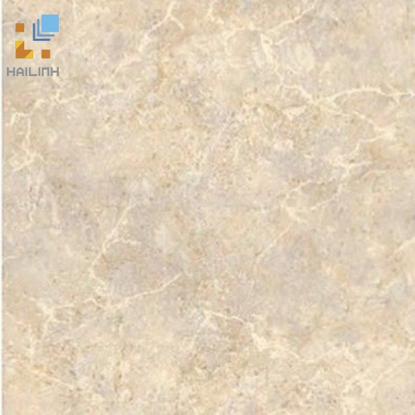 Ảnh Gạch Đồng Tâm 462 1
