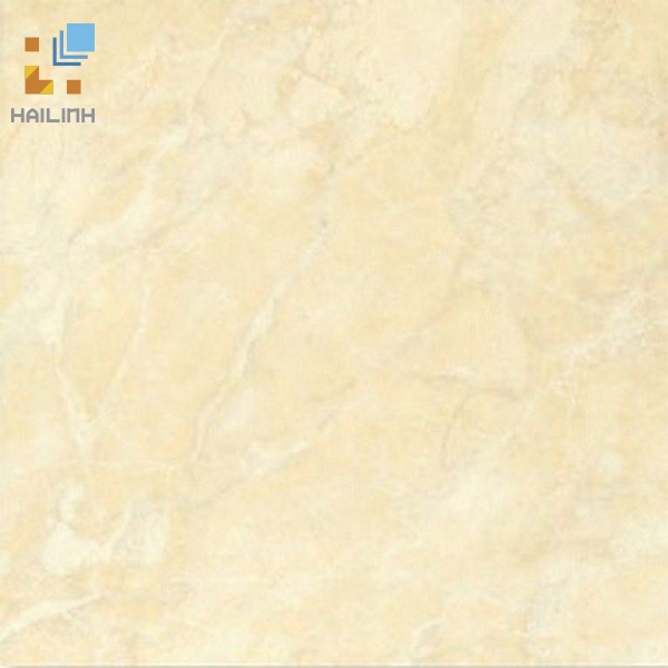 Ảnh Gạch Đồng Tâm 469 1