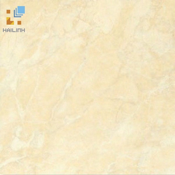 Ảnh Gạch Đồng Tâm 469 1