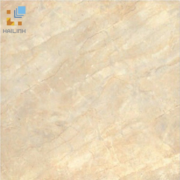 Ảnh Gạch Đồng Tâm 475 1