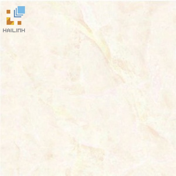 Ảnh Gạch Đồng Tâm 484 1