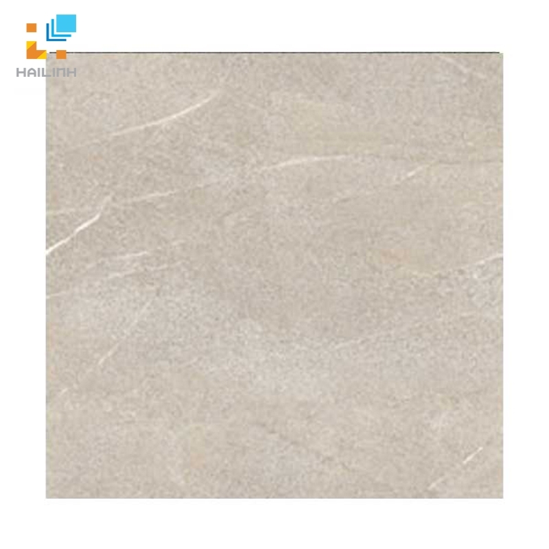 Ảnh Gạch Đồng Tâm 6060MEKONG005 1