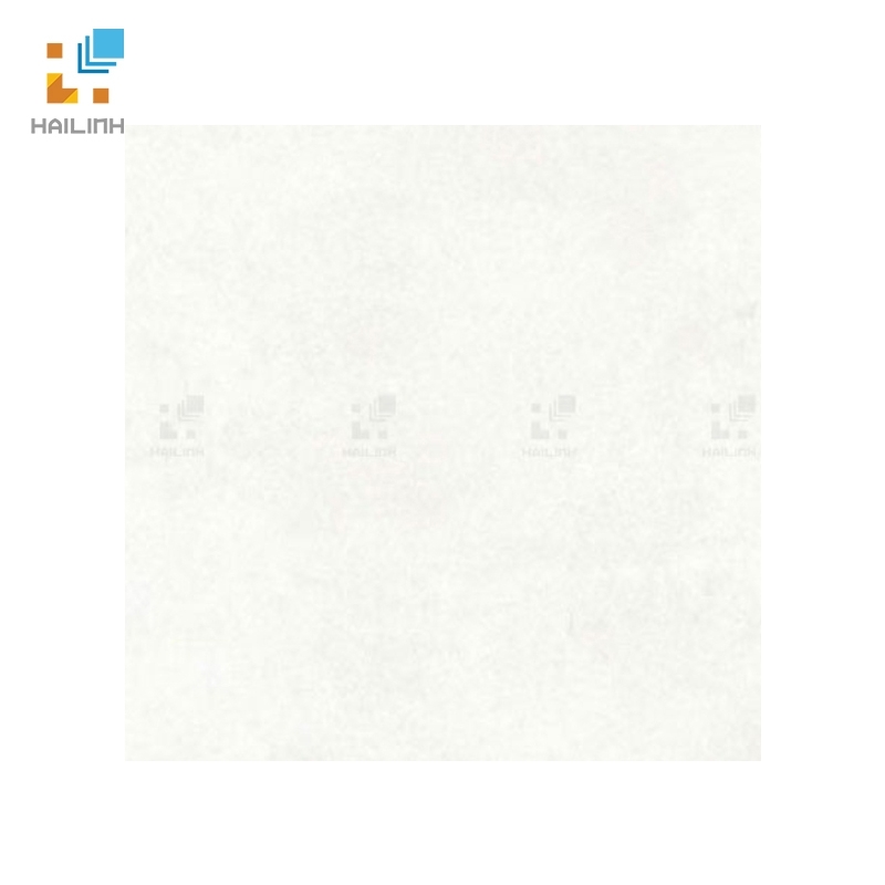 Ảnh Gạch đồng tâm 6060PHUSA002 1