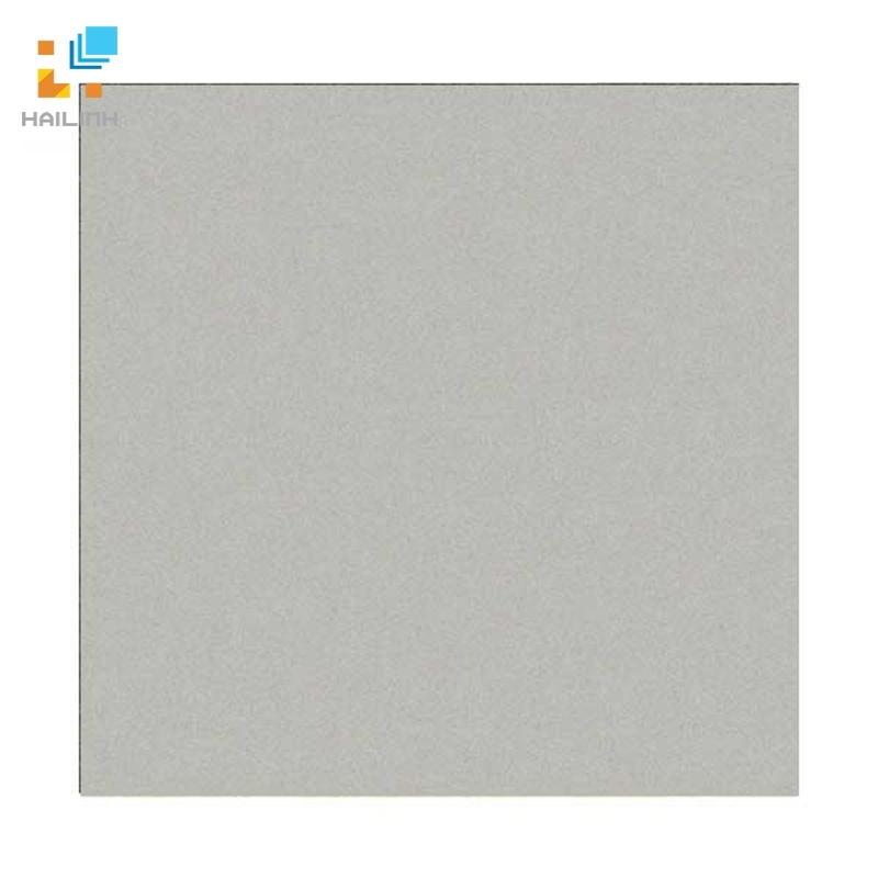 Ảnh Gạch Đồng Tâm 6060VICTORIA007 1