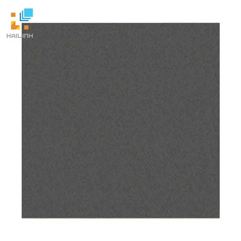 Ảnh Gạch Đồng Tâm 6060VICTORIA008 1