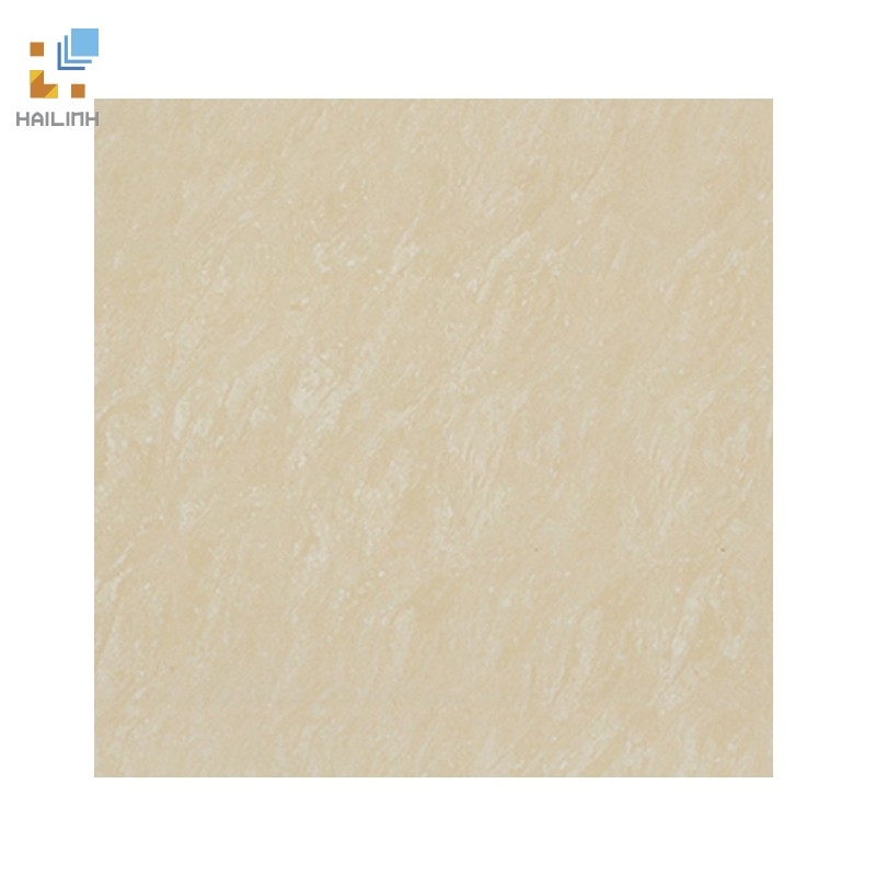 Ảnh Gạch Đồng Tâm 8080DB100-NANO 1