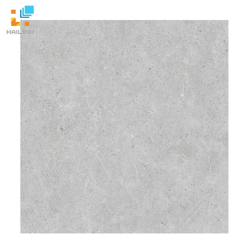 Ảnh Gạch Đồng Tâm 8080NAPOLEON005-H+ 1