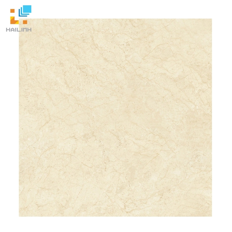 Ảnh Gạch Đồng Tâm 8080NAPOLEON006-H+ 1