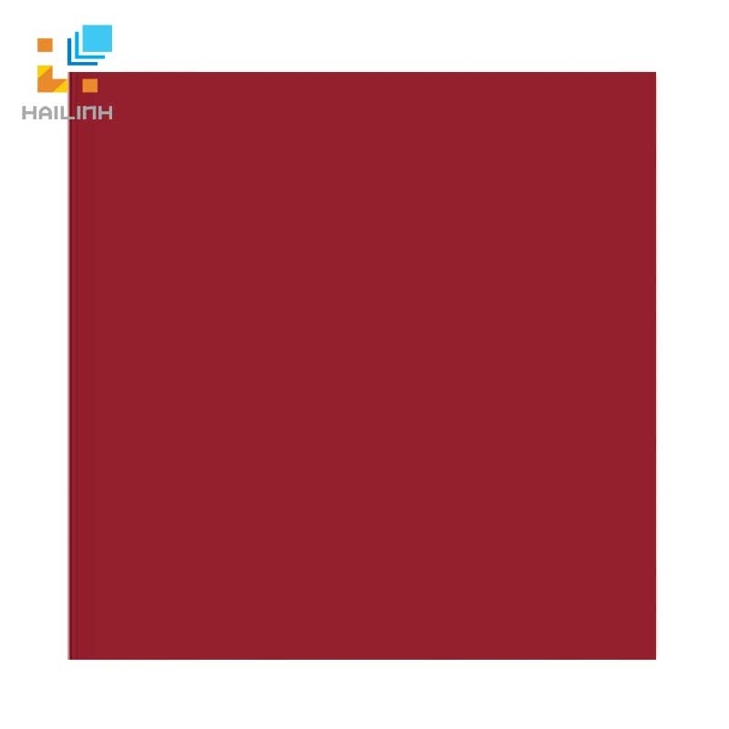 Ảnh Gạch Đồng Tâm 387 1