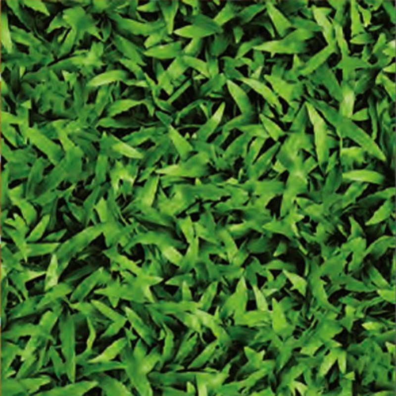 Ảnh Gạch Đồng Tâm 4040CLG001 1