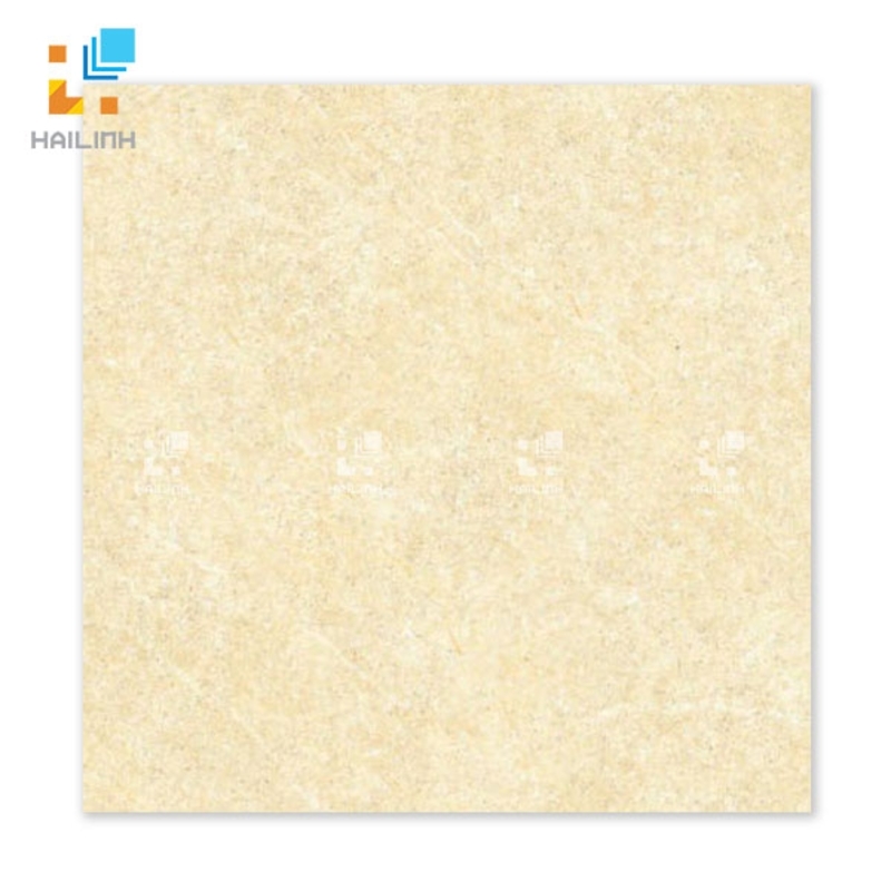 Ảnh Gạch Đồng Tâm 6060BINHTHUAN002 1