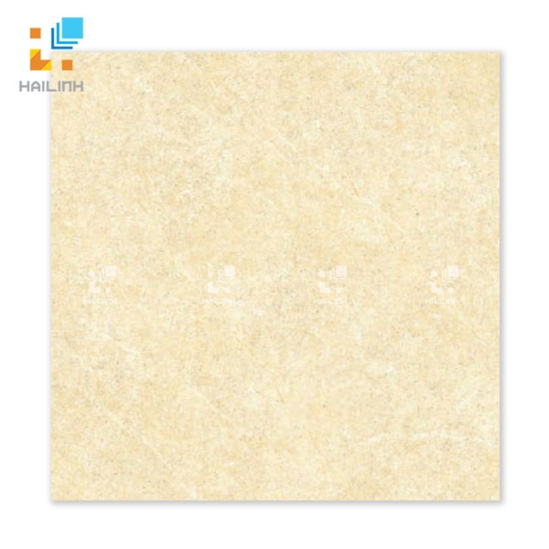 Ảnh Gạch Đồng Tâm 6060BINHTHUAN002 1