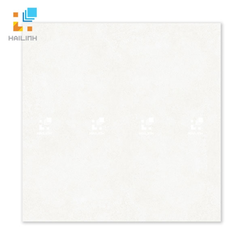 Ảnh Gạch Đồng Tâm 6060VICTORIA005 1