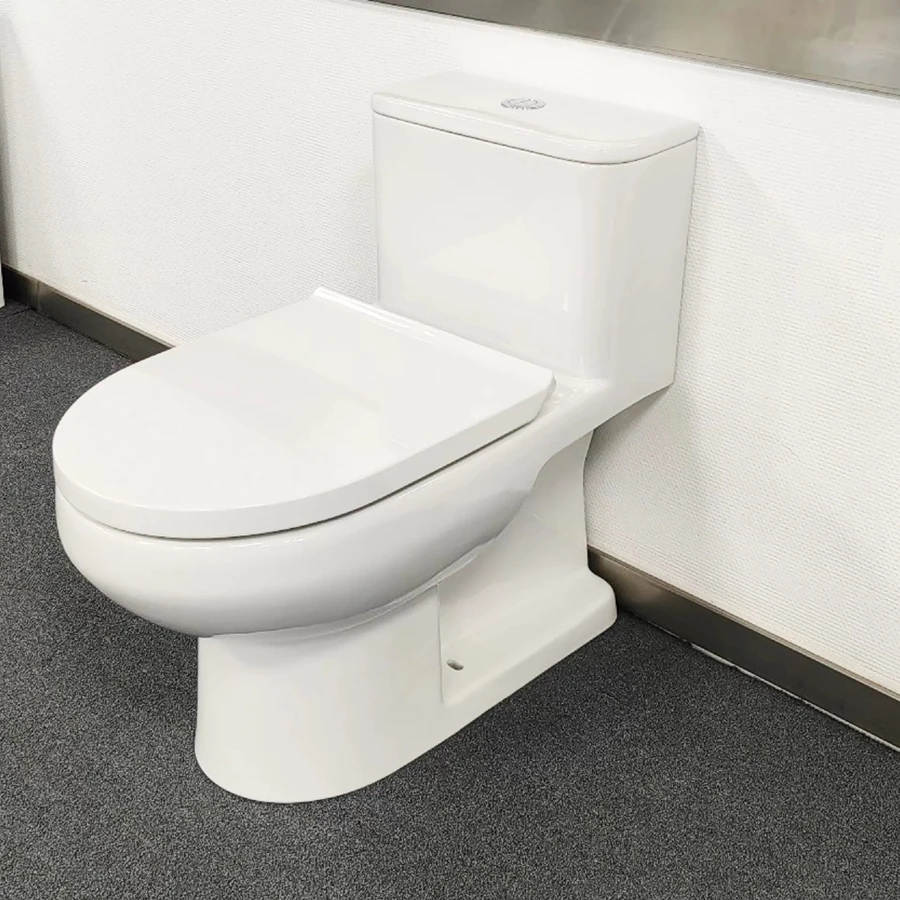 Ảnh Bồn cầu 1 khối Duravit 2053012007 1