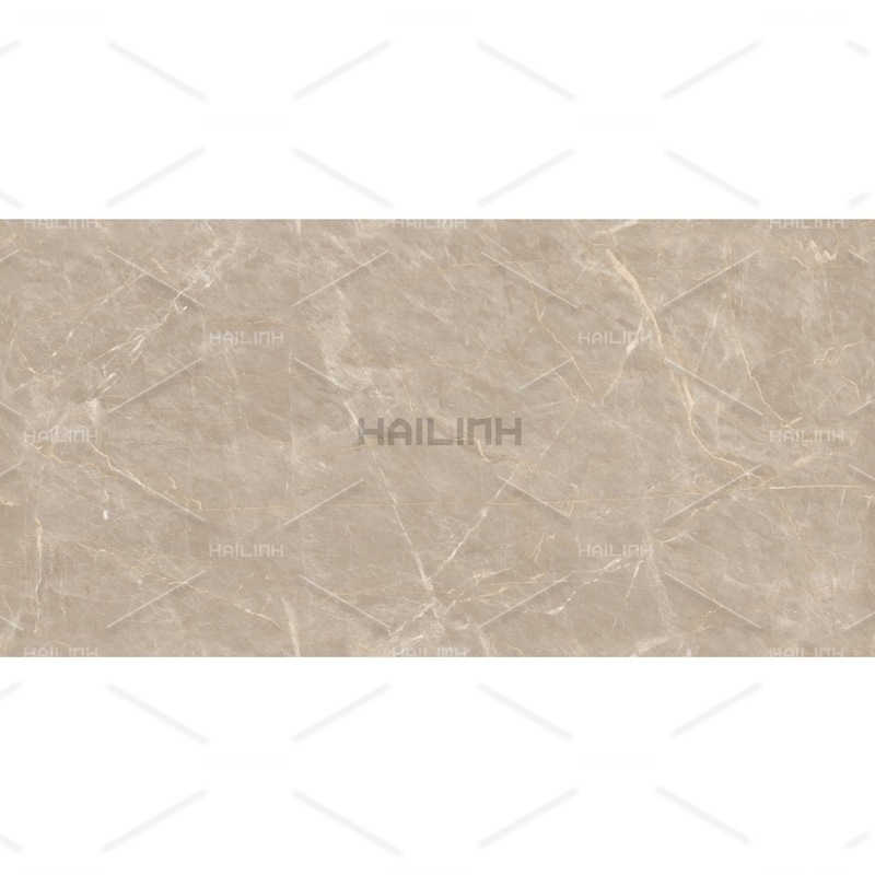 Ảnh Gạch Ấn Độ CSI612149 1