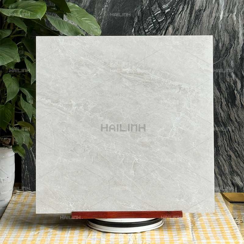 Ảnh Gạch Ấn Độ CSI88151 1