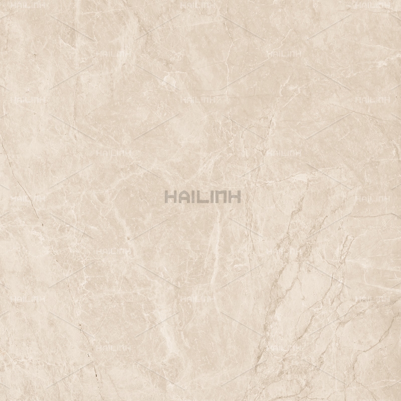 Ảnh Gạch Ấn Độ CSI88152 1