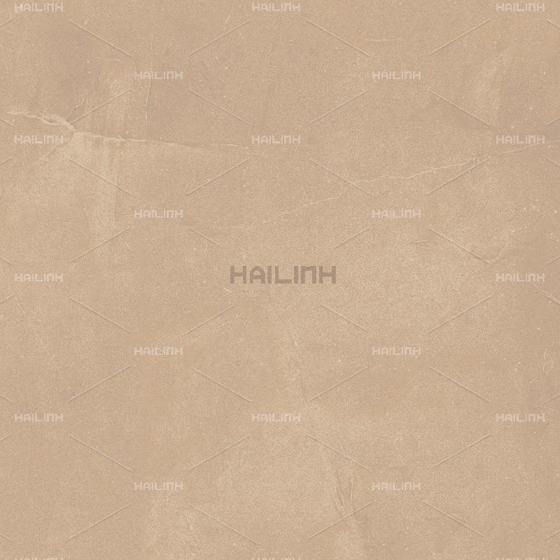 Ảnh Gạch Ấn Độ CSI88179 1