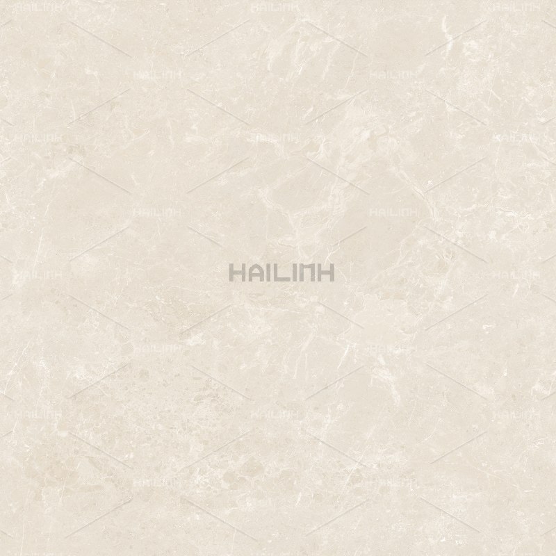 Ảnh Gạch Ấn Độ CSI88182 1