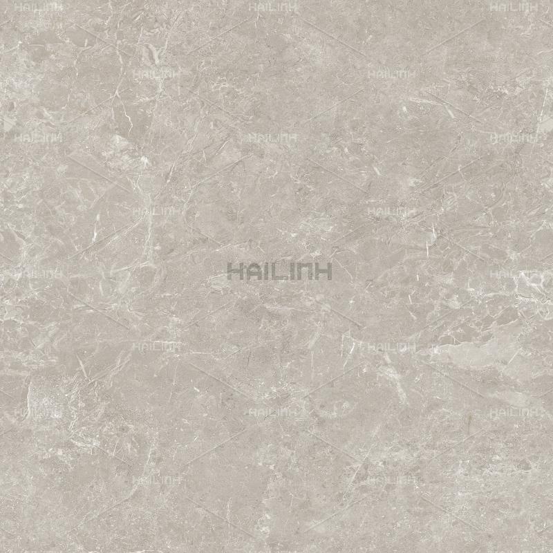 Ảnh Gạch Ấn Độ CSI88184 1