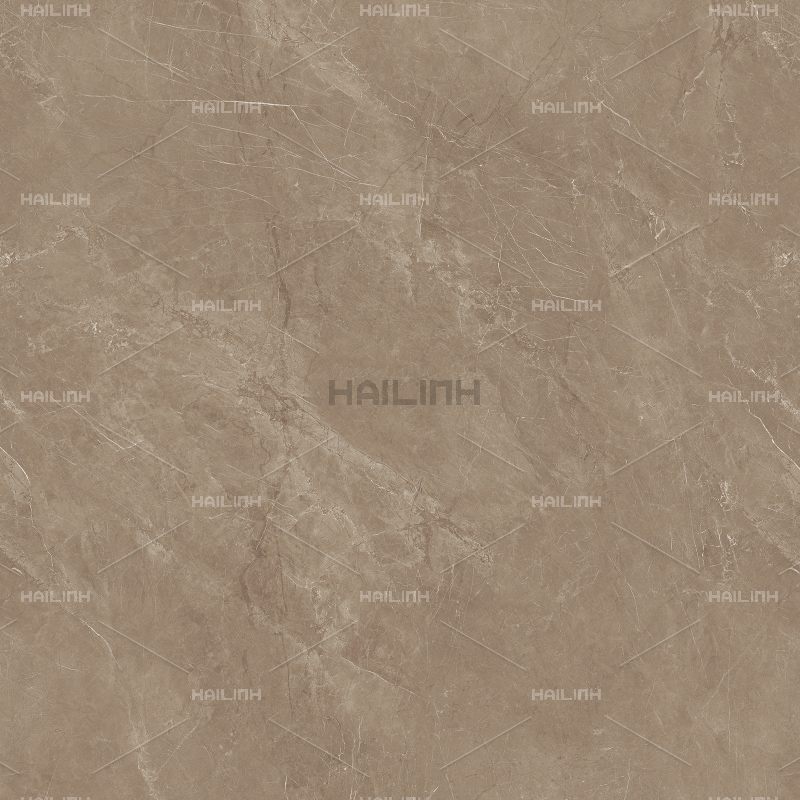 Ảnh Gạch Ấn Độ CSI88188 1