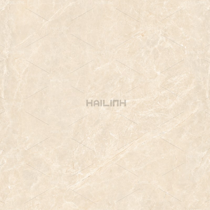 Ảnh Gạch Ấn Độ CSI88191 1