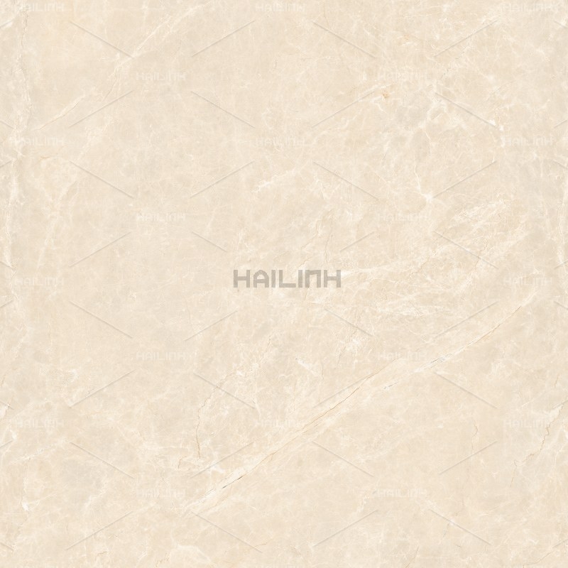 Ảnh Gạch Ấn Độ CSI88191 1