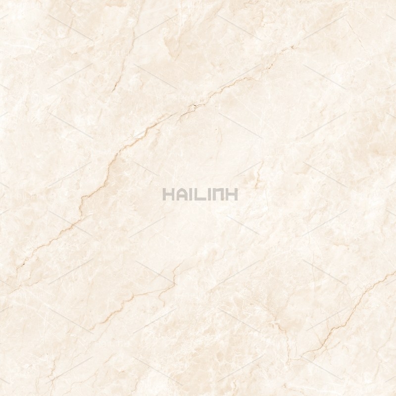 Ảnh Gạch Ấn Độ CSI88194 1