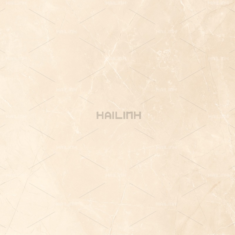 Ảnh Gạch Ấn Độ CSI88196 1