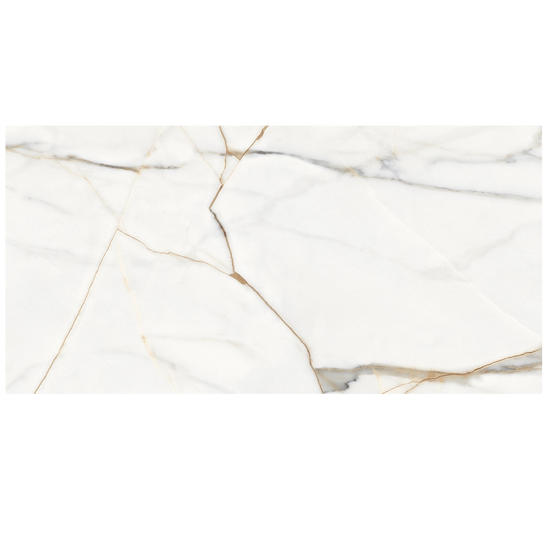 Ảnh Gạch Eurotile DAN N01P 1