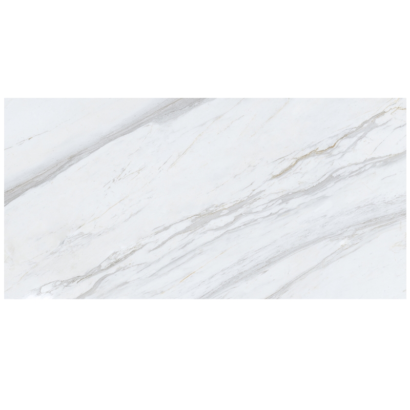 Ảnh Gạch Eurotile HAP N01P 1