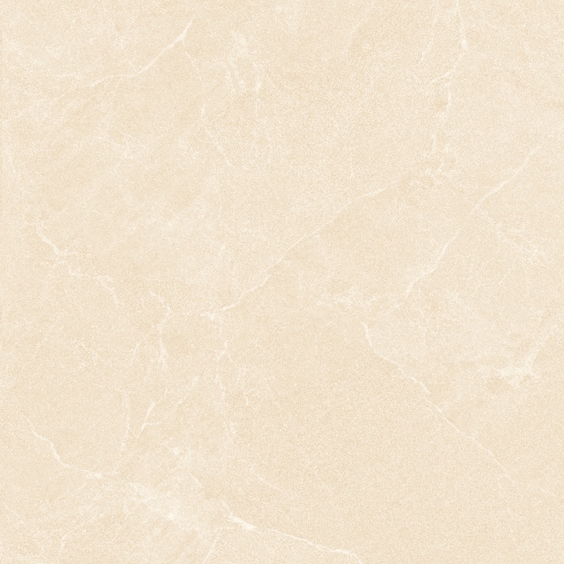 Ảnh Gạch HLG66006 1