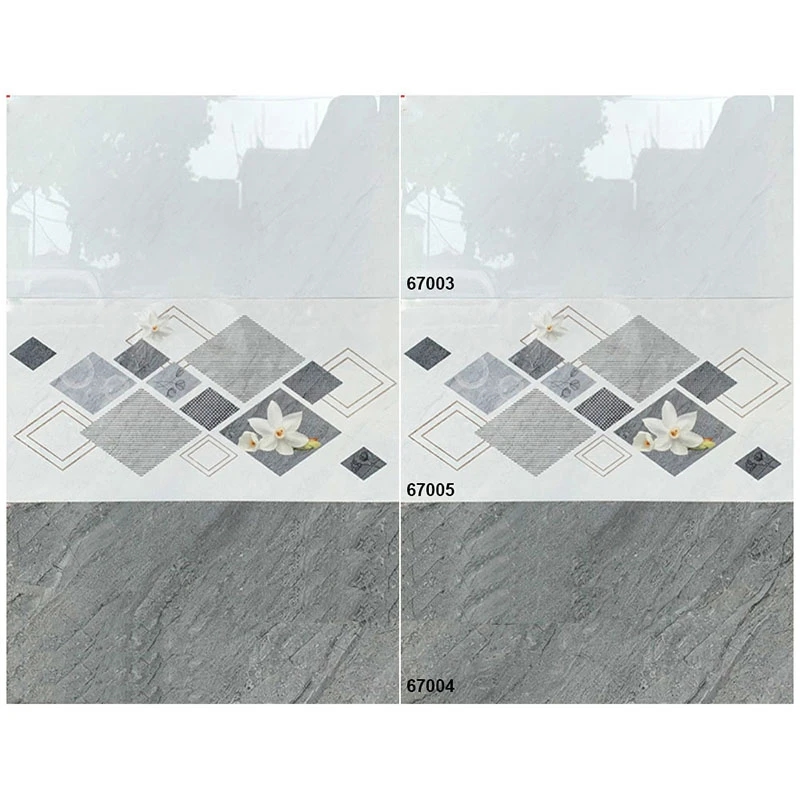 Ảnh Gạch Hoàn Mỹ 67000-67001 1