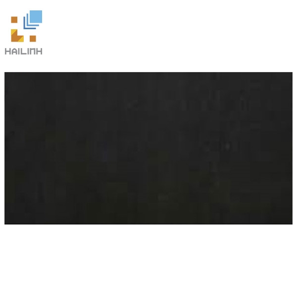 Ảnh Gạch Taicera HC600298-319 1