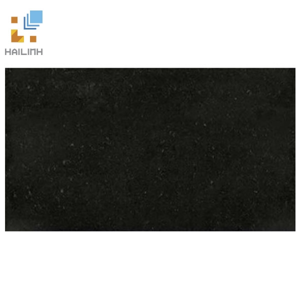 Ảnh Gạch Taicera MS4747-319N 1