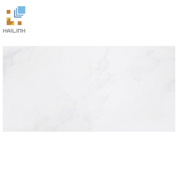 Ảnh Gạch Taicera PC600x298-418N 1