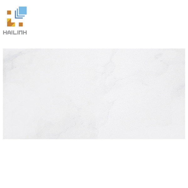 Ảnh Gạch Taicera PC600x298-418N 1