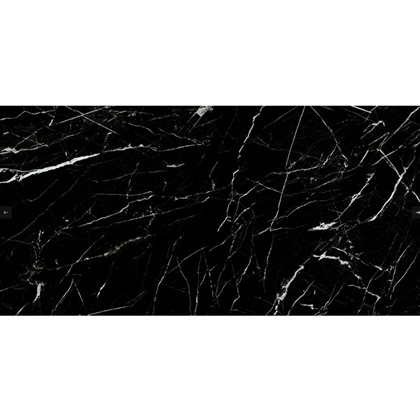 Ảnh Gạch Taicera GP12909 1