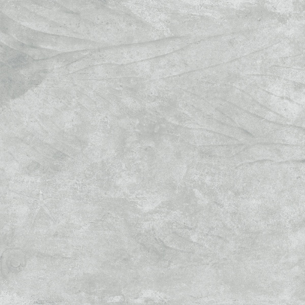 Gạch Taicera G88L07J