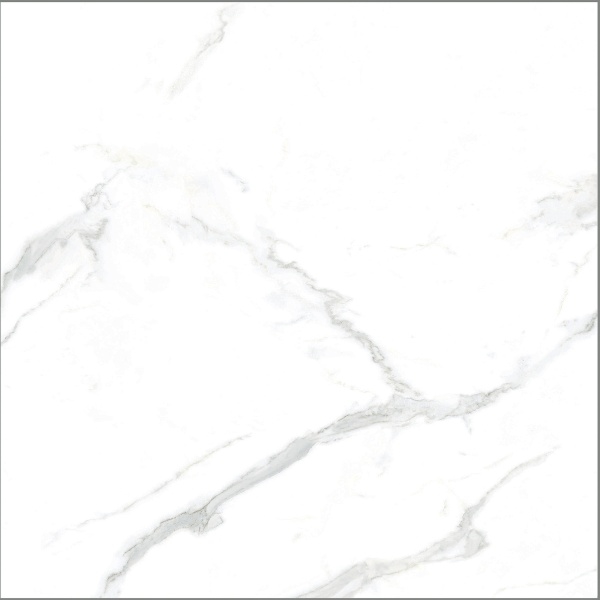 Ảnh Gạch Taicera GP88805J 80x80cm 1