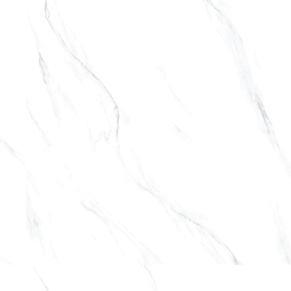 Ảnh Gạch Taicera GP98865J 1