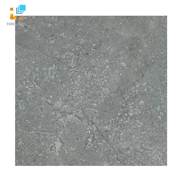 Ảnh Gạch Viglacera SH302 vân đá màu đen 1