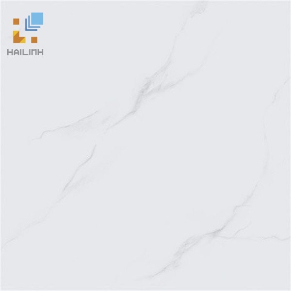 Ảnh Gạch Viglacera VHP6601 1