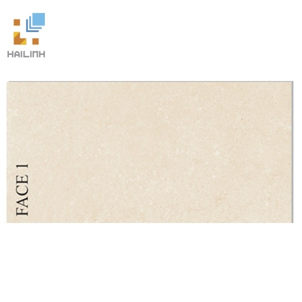 Ảnh Gạch Viglacera PT20-G3601 1