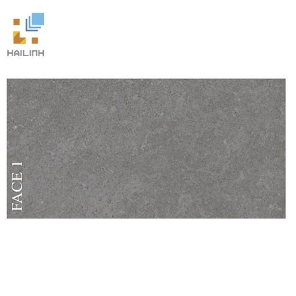 Ảnh Gạch Viglacera PT20-G3603 1