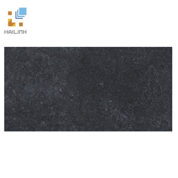 Ảnh Gạch Viglacera PT20-G3604 1