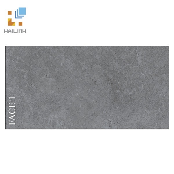 Ảnh Gạch Viglacera PT20-G3605 1