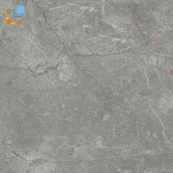 Ảnh Gạch Viglacera CL-304 1